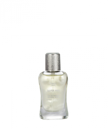 عطر جیبی مردانه ریو کالکشن Rio Collection مدل Silver Hill حجم 20 میلی لیتر
